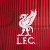 Nike Футболка с коротким рукавом Liverpool FC Academy Pro с вышитым логотипом, облегающая, мужская, DX3614-688