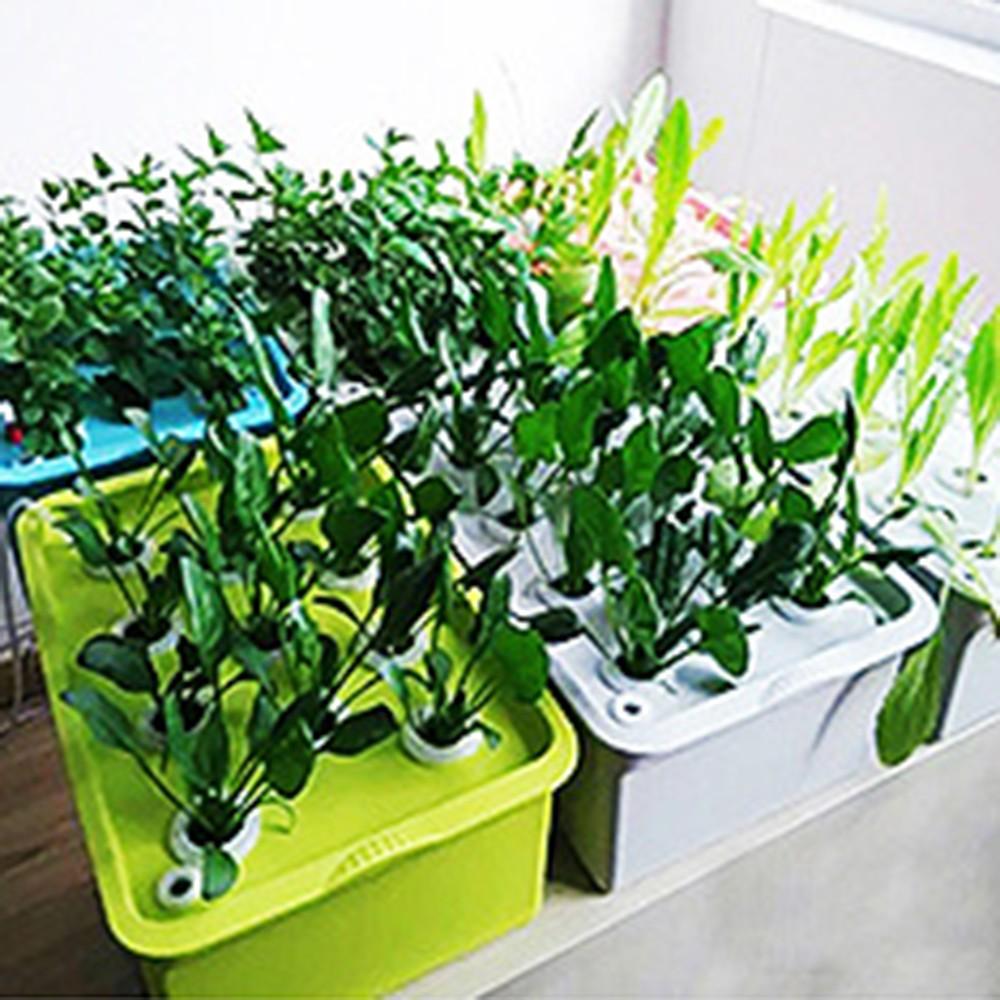 Сетчатый горшок Губка Многоразовый Открытый Беспочвенное выращивание Сельдерей Огурцы