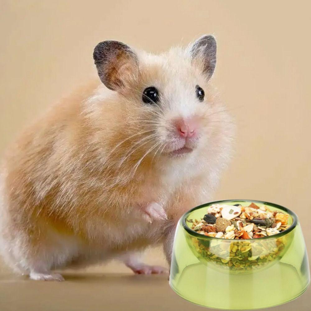 Plastic Hamster Water Bowl Bite Resistant Rat Food Water Dish  For Rats Hamster Guinea Pig