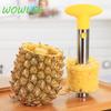Fruit Pineapple Corer Slicers Peeler Parer Cutter Kitchen   Easy Tool Stainless Steel or Plastic
