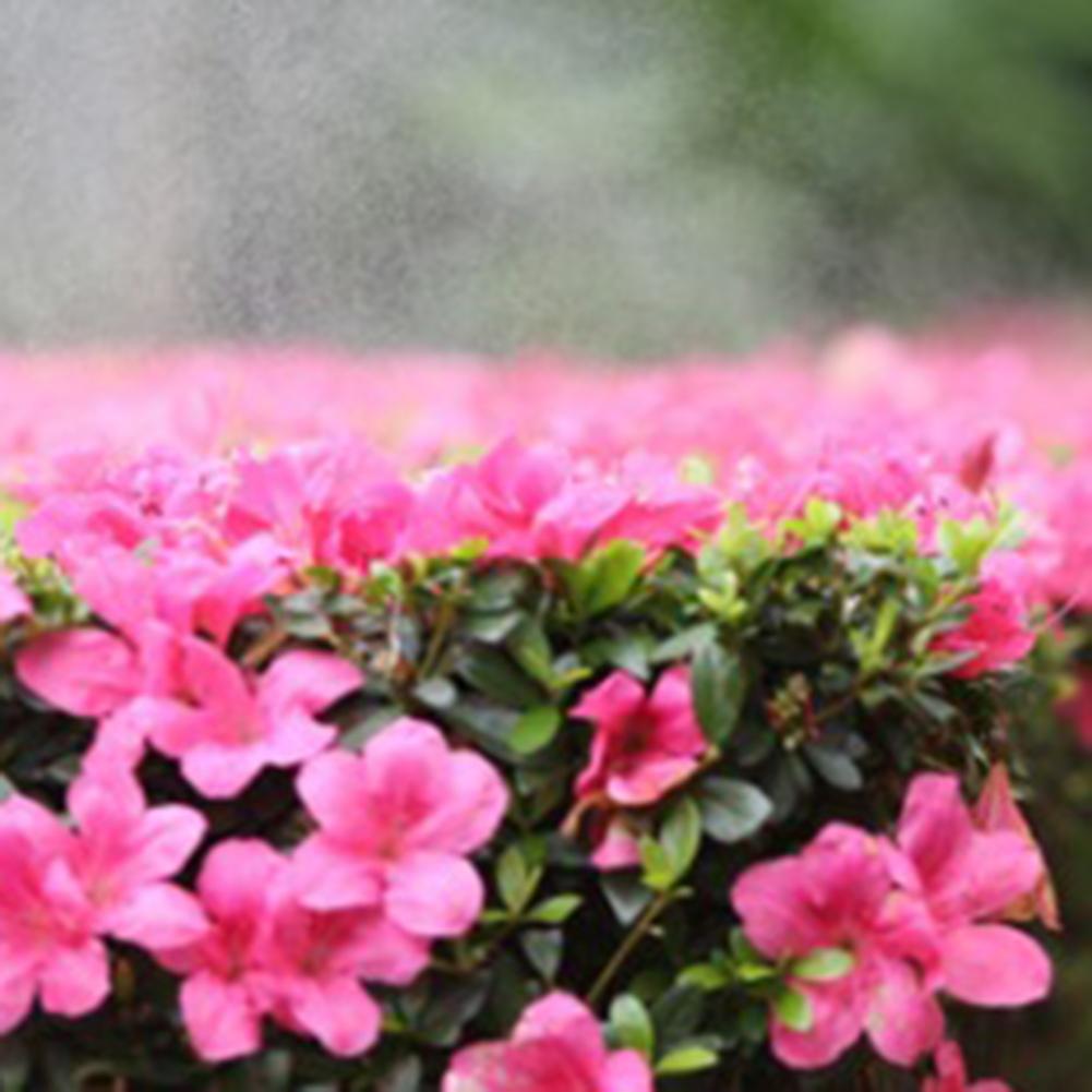 Для дома Трава Шар Сад Роза Цветочные Шары Сцена Топиарий Подвесной