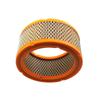 XLJOY Air Filter 0C8127 For Generac V-Twin 760cc 990cc Engines Home Standby Generator 12 -18 kW Centurion Siemens