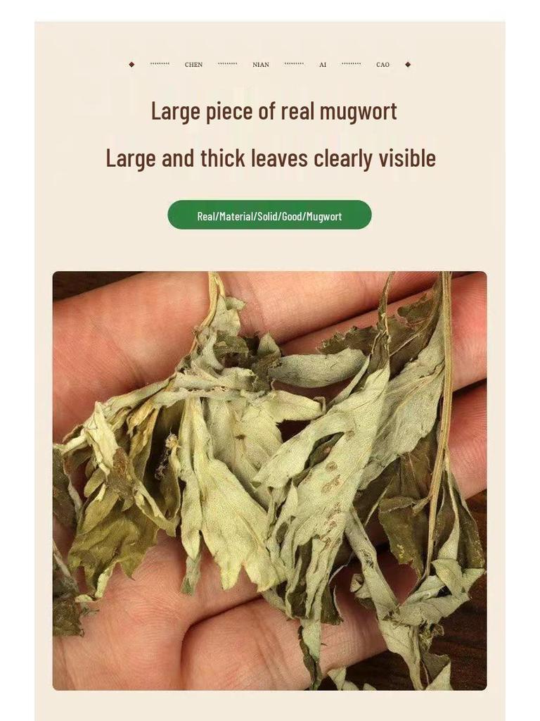 Mugwort Foot Soak Bags - Wild Pure Mugwort Blend (500g) for Relaxing Foot Bath