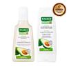 Rausch Shampoo & Conditioner 200ml 4 Types, Choose 1 (Swiss Herbal/Willow Bark/Coltsfoot/Avocado)