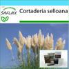 Gift Set - American Pampas Grass - 200 Seeds - With Gift Box, Card, Label and Potting Substrate - Cortaderia Selloana