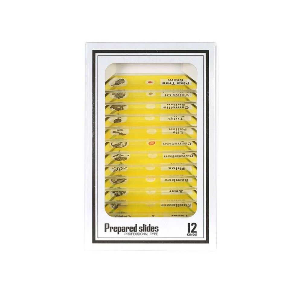 Животные Насекомые Растения Цветы Микроскоп Слайды Студенты Дети