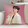 Home Decor Pillow Cover Iving S-Song-Kangs Kpop Room Bedroomo Office Car Dakimakura Throw Pillows Square Pillowcase Home Decor