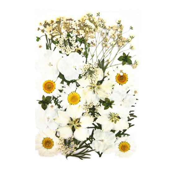 1 Set Dried Pressed Flowers Kit Colorful Natural Flowers DIY Art Crafts Supplies Resin Jewelry Epoxy Mold Candle Soap Vase Making Nail Card