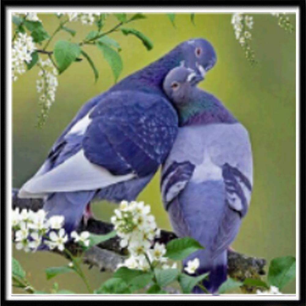 5D Diamond Painting Diy Cross Stitch Embroidery Complete Kit Cat Diamond Painting Home Wall Decoration Handmade Holiday Gifts