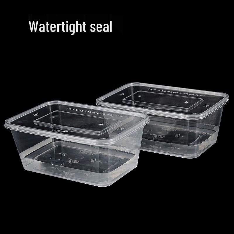 Edo Disposable Transparent Food Containers with Lids