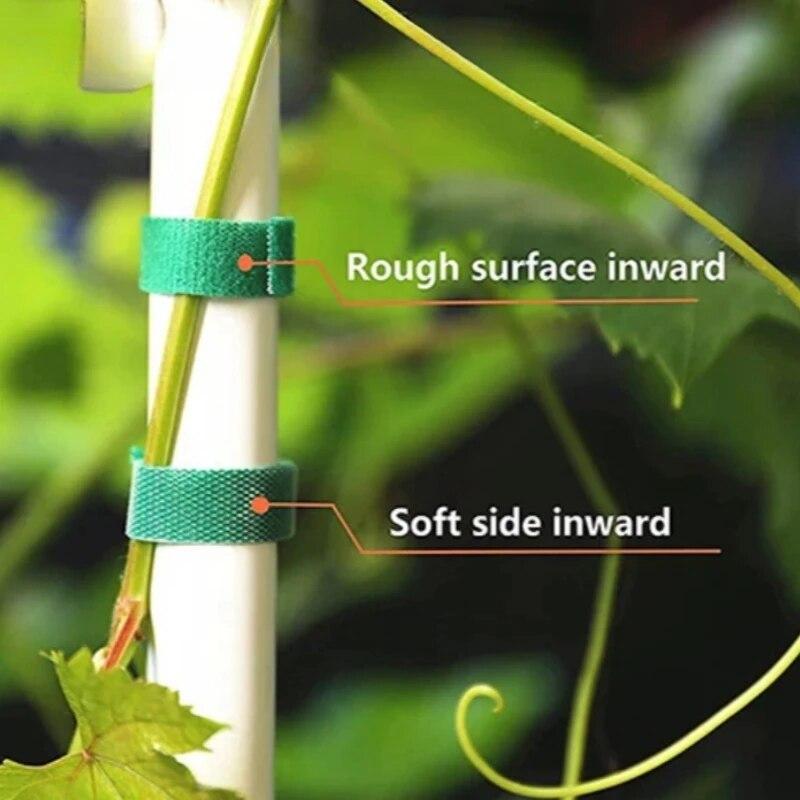 5M нейлоновая лента для повязки растений многоразовые крючки-петли для растений зеленая лента-застежка бамбуковая тростниковая обертка поддержка аксессуары для дома и сада