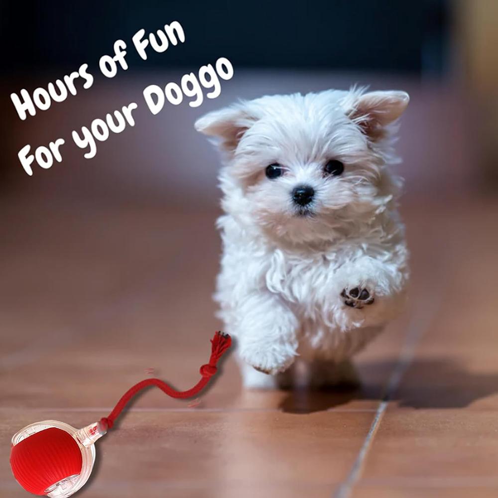 Интерактивные игрушки для кошек Катящийся мяч Быстро катящийся по ковру Игрушки для кошек или собак