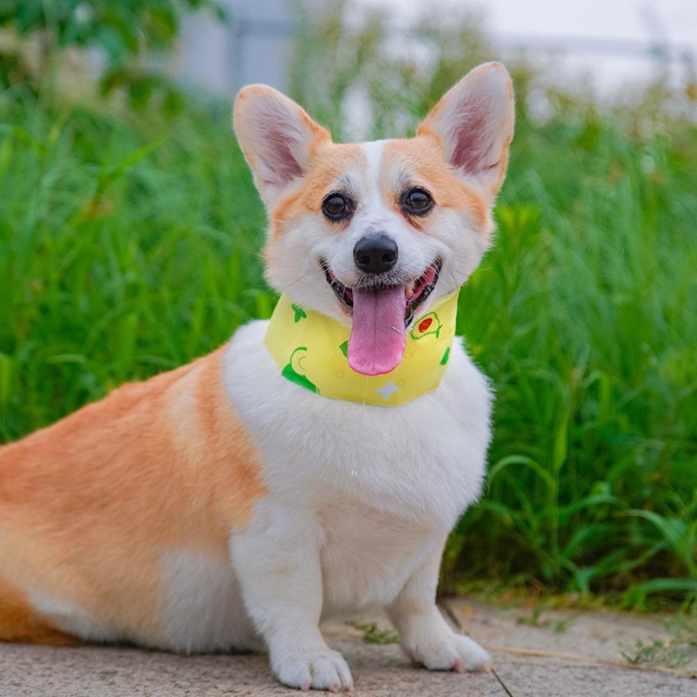 Профилактика теплового удара шарф для домашних животных мультяшный ошейник для собак прочный охлаждающий ледяной шарф для улицы