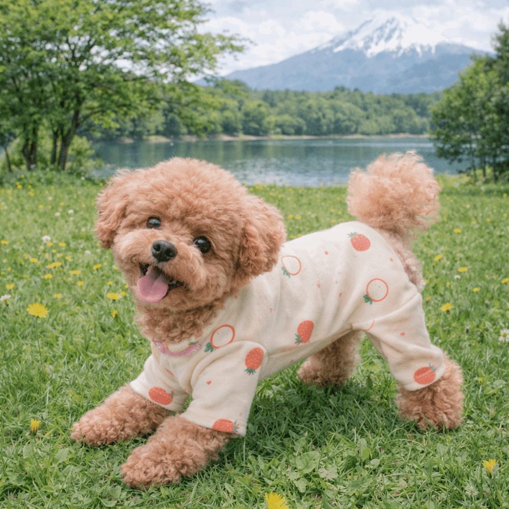 Cartoon Printed Dog Base Coat Warm Dog Jumpsuit Cute Dog Home Clothing Casual Wear