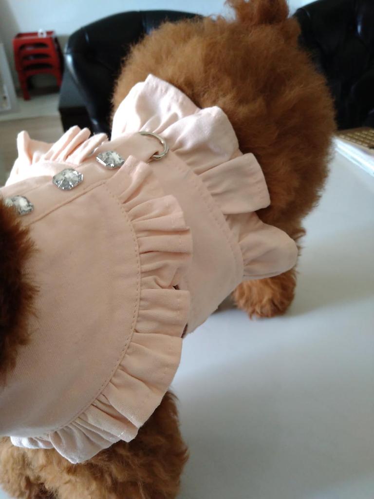 Lady Glamour Frilled Harness with Sparkling Decorative Easy To Put On and Take Includes a Matching Fabric Perfect for Dogs and Perfect for Walking