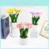 Simulation Multicolor Corn Poppy Potted Artificial Flower For Home Garden And Event Use