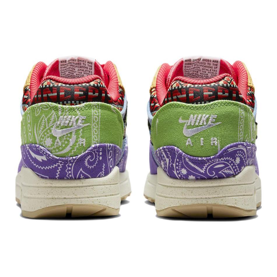 Nike Air Max 1 Sp Concepts Far Out Обычная коробка DN1803-500