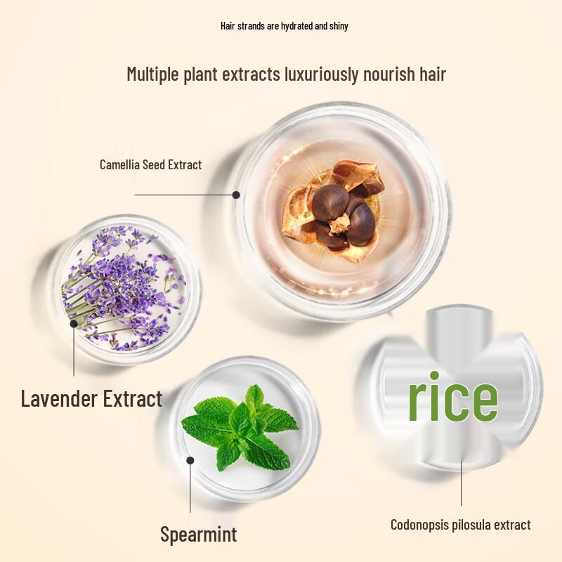 Ziyuan Tea Seed Oil Control Anti-Dandruff Conditioner