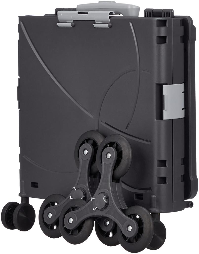 Compact Carry Case Ranger 36L