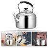 Чайник из нержавеющей стали 304 для плиты, чайник для кипячения воды, кухонный чайник, походный котелок