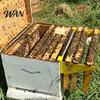 Beekeeping Equipment Beehive Frame Holder, Bee Hive Stand, Metal Perch, Honeycomb Stand Inspection Bracket, Hives Boxes Starter Kit for Supplies Aid