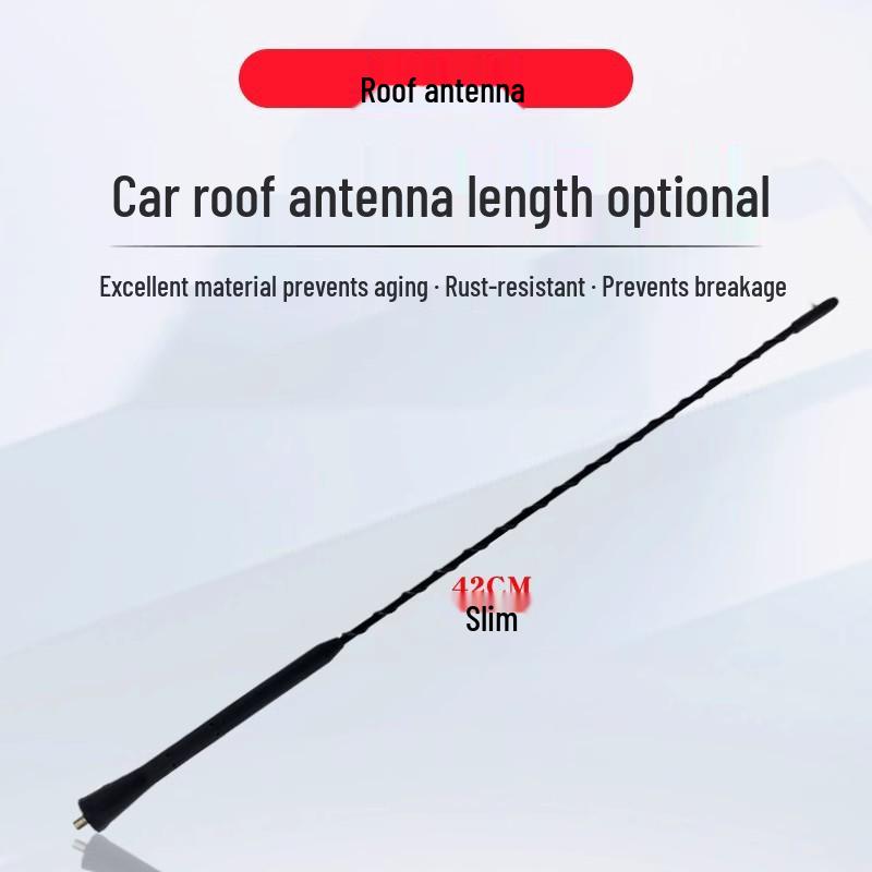 Ford Classic Focus Escape EcoSport Fiesta Escort Short Antenna Replacement