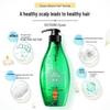 Seeyoung Forest Breeze Anti-Dandruff Silicone-Free Shampoo