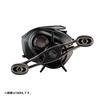 Daiwa 24STEEZ SV TW 100XHL Бассовая кастинговая катушка (Модель 2024 года)