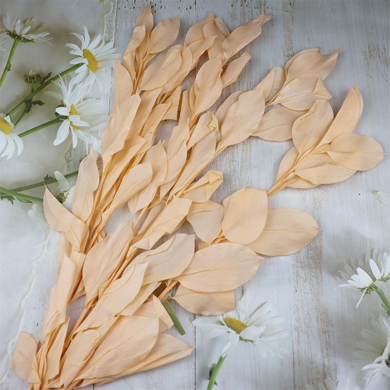 DIY Floral Art Ornament: Preserved Tangerine & Fishtail Leaf, Lily, Bamboo Dried Flowers – Ikebana Photo Prop for Home Décor.