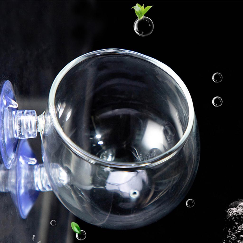 Aquarium Plant Cup Glass Plant Holder for Fishtanks with Suction Cups for Hydroponic Plants and Fishtanks Landscaping