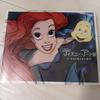[Б/У] Коллекция официальных путеводителей ограниченного издания выставки искусства Диснея