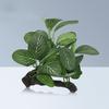 Eco-friendly Multiple Styles Wide Application Simulation Aquatic Plants Driftwood Clover Plastic Lotus Fish Tank Decoration for Household