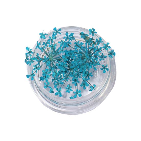 1 коробка подвески для ногтей, не выцветающие, «сделай сам», легко наносятся, изысканные красочные натуральные цветы, художественное украшение для маникюрного магазина