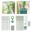 Adjustable Plant Stakes And Climbing Support Brackets Garden Vegetable Cucumber Stand Set For Houseplants Gardening Tool