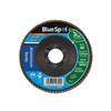 Bluespot Tools Sanding Flap Disc