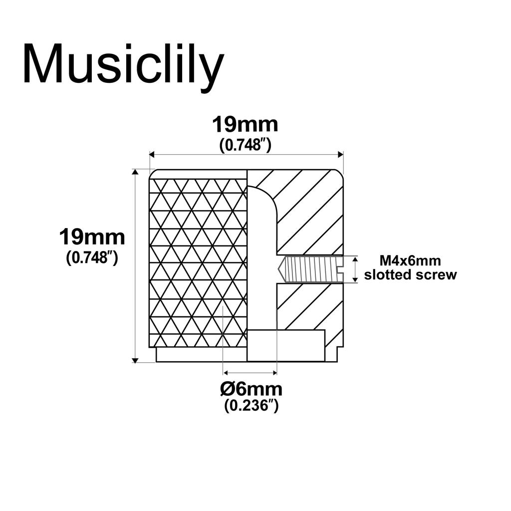 Винт Musiclily Pro 6 мм с купольной головкой для электрогитары Telecaster Precision Gold, стальной, для гитары/бас-гитары PB, (Набор 2)