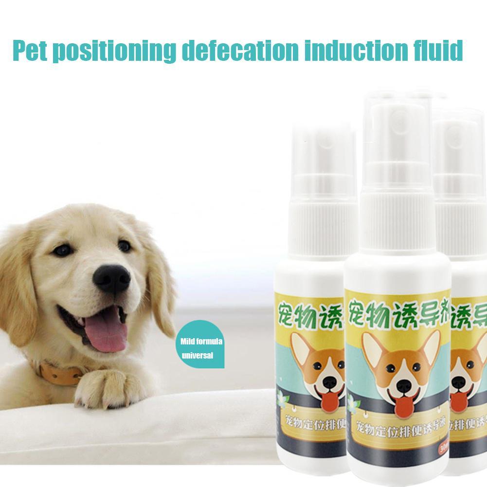 30ml Pet Dog Spray Toilet Training Inducer Dog Props Puppy For Puppy Pee Toilet Pad Supplies Pe U8D6