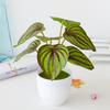 Искусственное растение в горшке без полива, декоративные яркие цвета, прочные искусственные растения, зеленый бонсай в горшке, домашний декор для рабочего стола