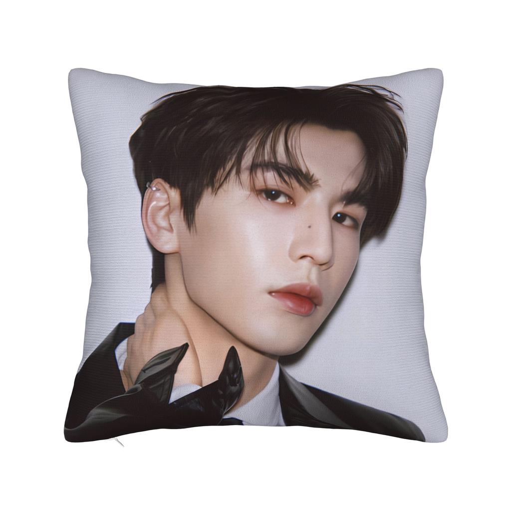 Zhang Linghe Pillowcases Kawaii Pillow Case For Living Room Sofa Custom Pillow Cover