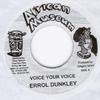 7inch Record ERROL DUNKLEY - Voice Your Voice NONE African Museum Jamaica Reggae, Ska & Dub Used