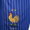 Nike FFF 2024 Стадион Выездные Футбольные Штаны Мужские Ярко-синие FJ4294-452