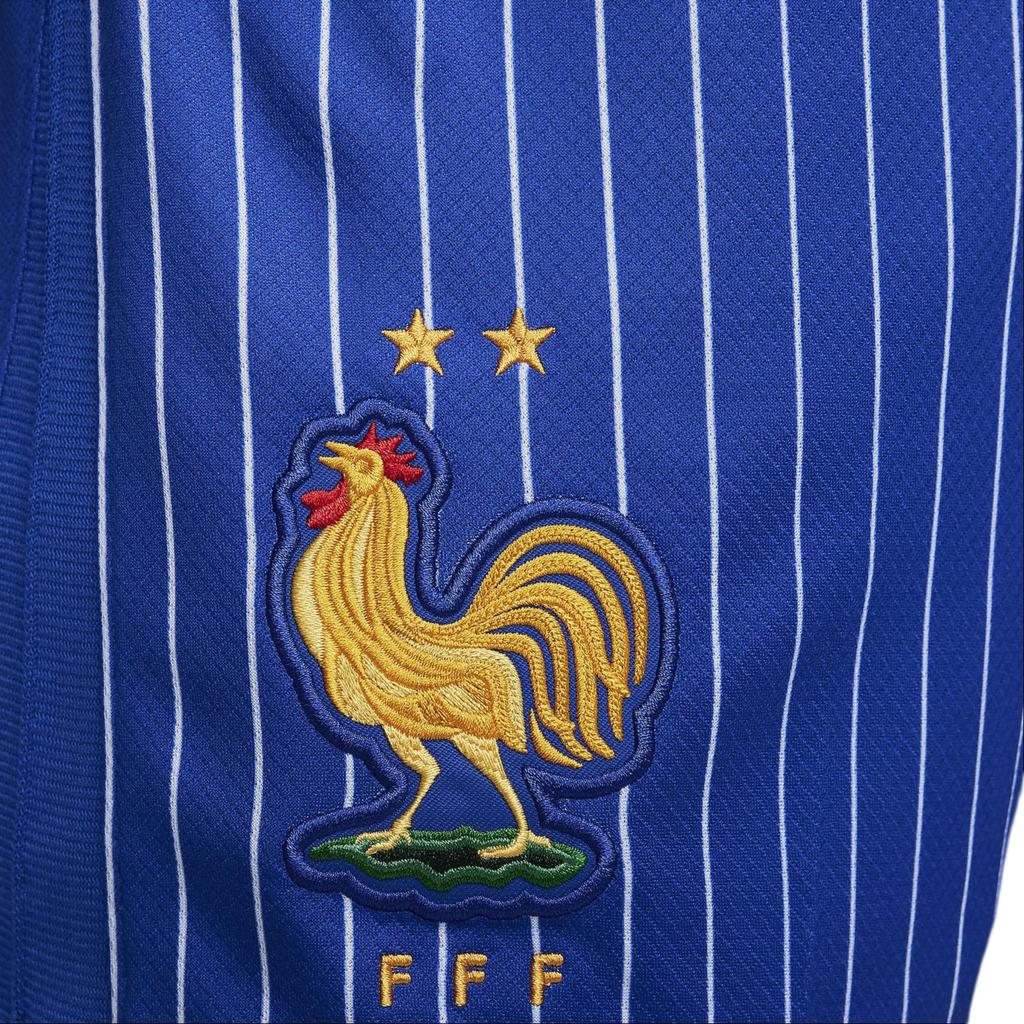 Nike FFF 2024 Стадион Выездные Футбольные Штаны Мужские Ярко-синие FJ4294-452