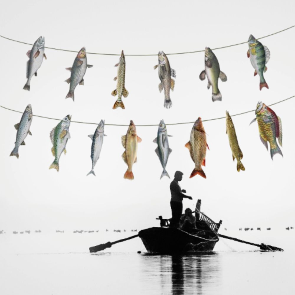 Fisherman Themed Paper Fish Garland Colorful Fish Flag Decorations  Festive Occasions