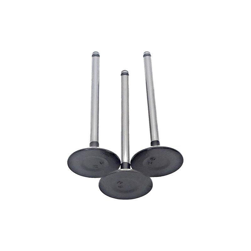Suitable for Toyota Corolla(1.8L) 2001-2009 Avensis(1.8L) 2000-2008 RAV4(1.8L) 2000-2005 Intake Valve
