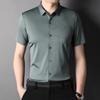 Summer New Men's Short-Sleeved Shirt Leisure Iron-Free Lapel Men's Top