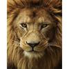 5D DIY Алмазная картина Животное Африка Лев Алмазная вышивка Крест Стежок Главная Украшение
