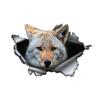 Милая 3D-наклейка на автомобиль Coyote, забавная водонепроницаемая наклейка для автомобилей, грузовиков, мотоциклов, стен, окон, материала ПВХ