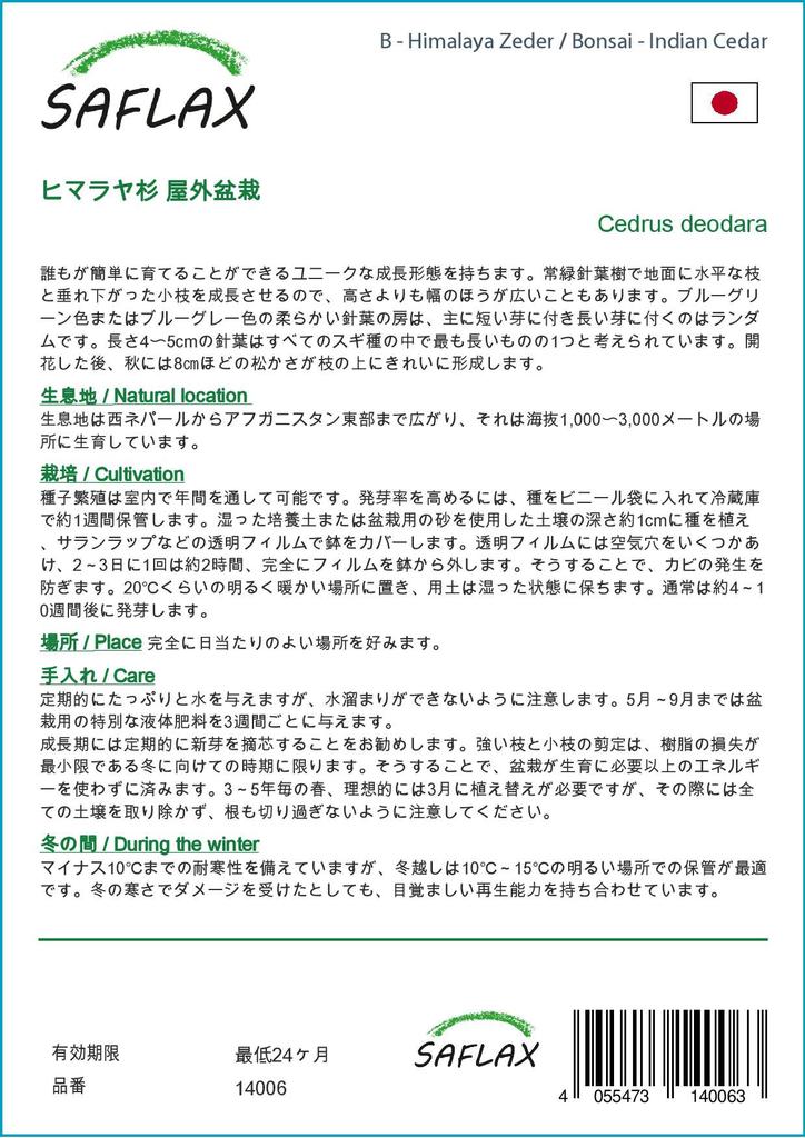 SAFLAX Garden in the Bag - Бонсай - Индийский кедр - 35 семян - С субстратом в подходящем мешке - Cedrus deodara