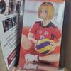 Пробка для лапши Furyu Kenma Haikyu Kozume Kenma