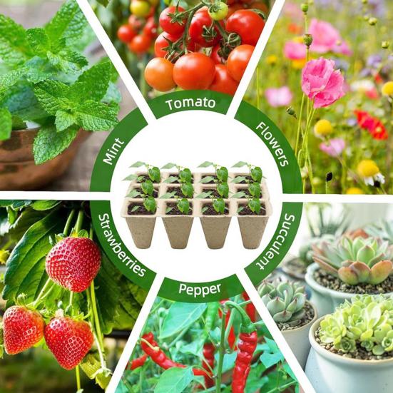 Юшенг 12-ячеечный поддон для рассады Биоразлагаемые горшки для растений Дышащий поддон для проращивания семян с бирками и инструментами для цветов, овощей, трав, домашнего садоводства